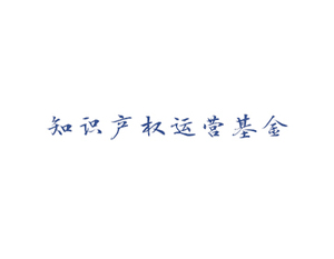 河南省重点产业知识产权运营基金（有限合伙）